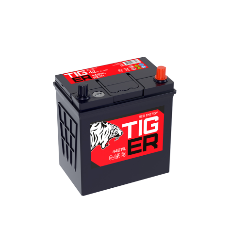Аккумулятор 6-ст 42Ач TIGER Red Energy обр (44B19L, PS)