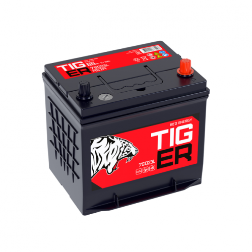 Аккумулятор 6-ст 65Ач TIGER Red Energy обр (75D23L, PS)