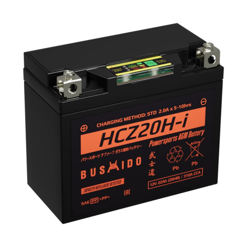 Аккумулятор 6-ст 22.0Ач BUSHIDO HCZ20H-i пр